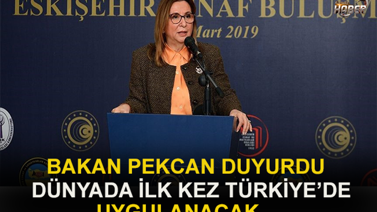 Bakan Pekcan: "Dünyada ilk kez Türkiye'de uygulanacak."