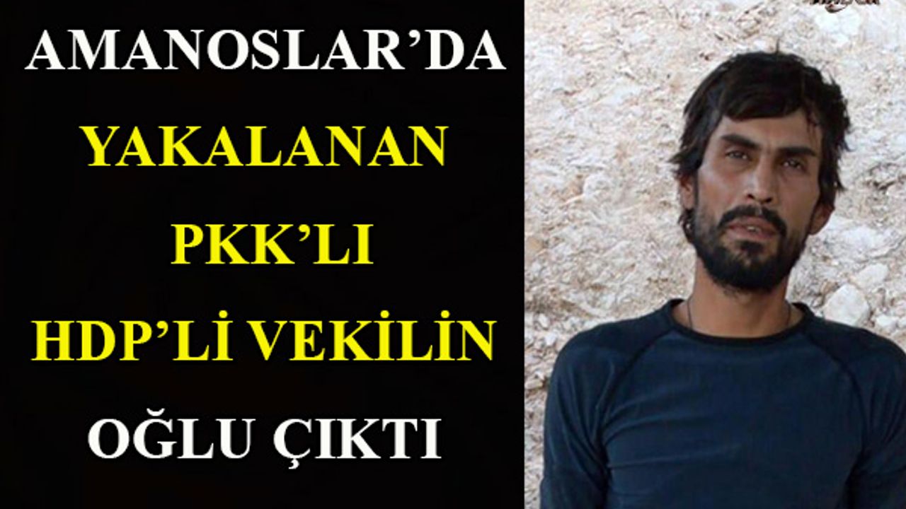 Eski HDP milletvekili Demir Çelik'in terörist oğlu sağ yakalandı