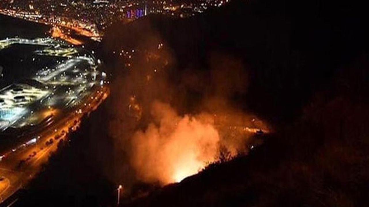 Trabzon'da 35 farklı noktada yangın