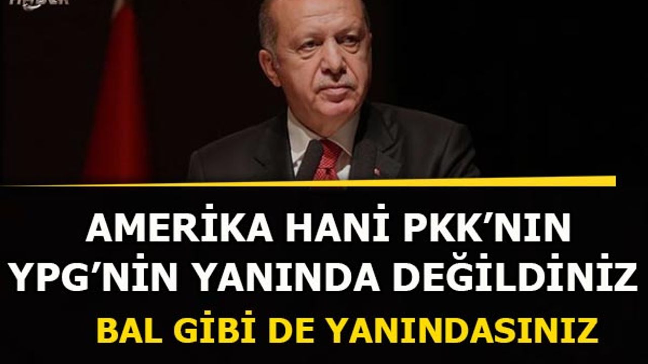 Erdoğan'dan ABD'ye tepki: Bal gibi de PKK'nın yanındasınız