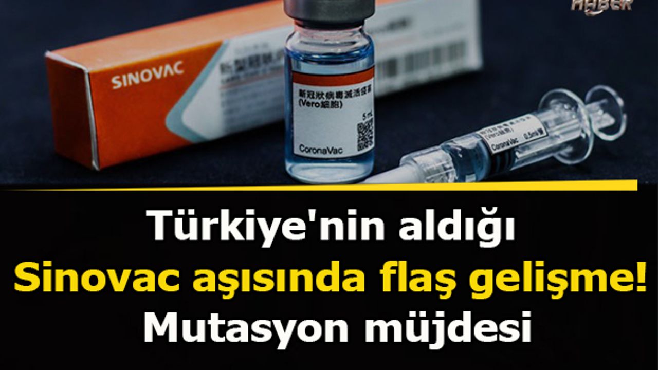 Türkiye'nin aldığı Sinovac aşısında flaş gelişme! Mutasyon müjdesi