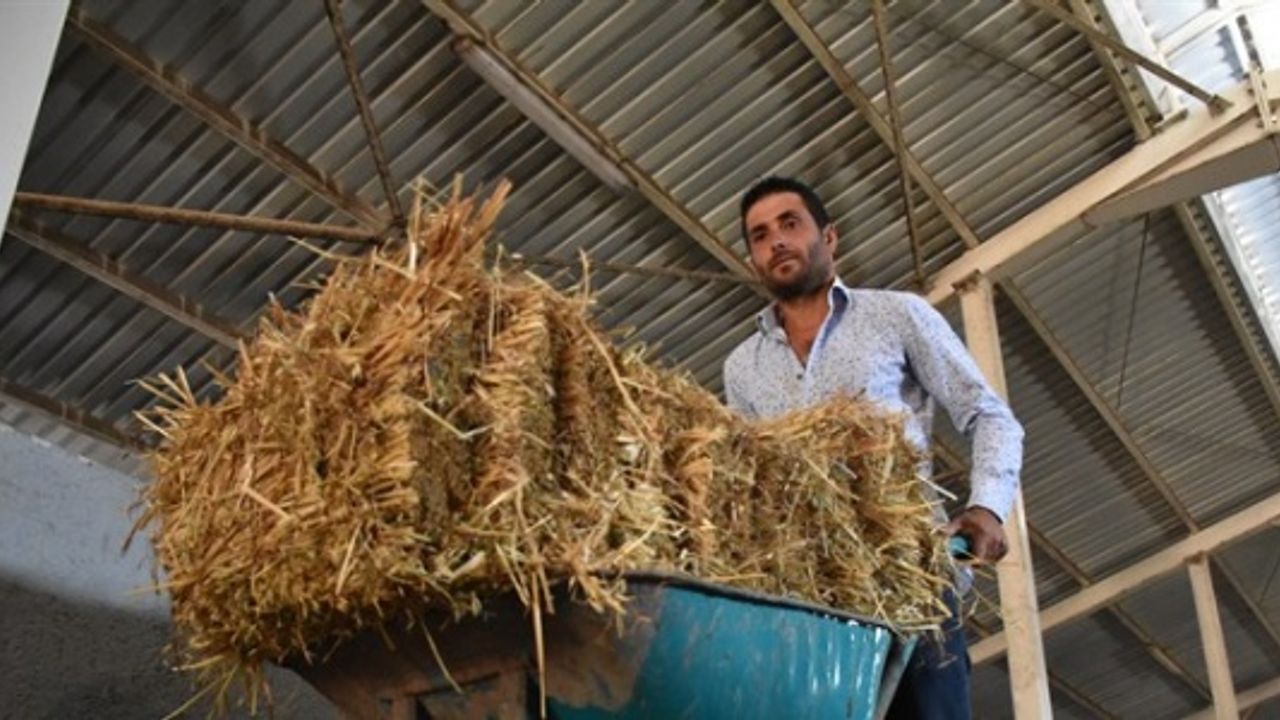 AVM yöneticiliğini bırakan girişimci köyünde peynir üretiyor
