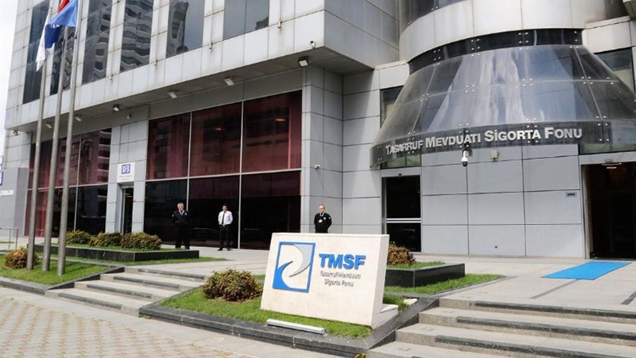 TMSF iki şirketi satışa çıkardı