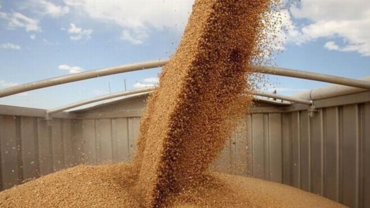 TMO, 385 bin ton buğday ithal edecek