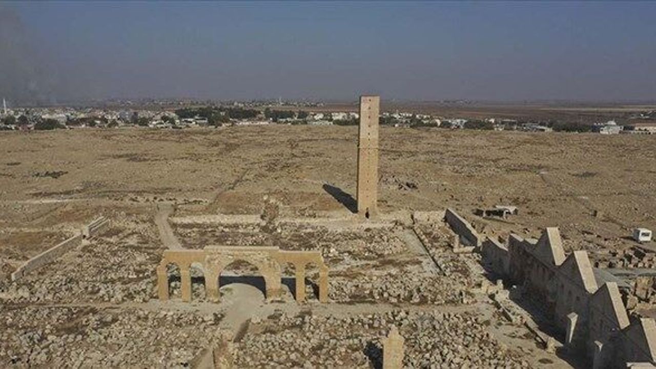 Harran Üniversitesi 406 sözleşmeli personel alacak