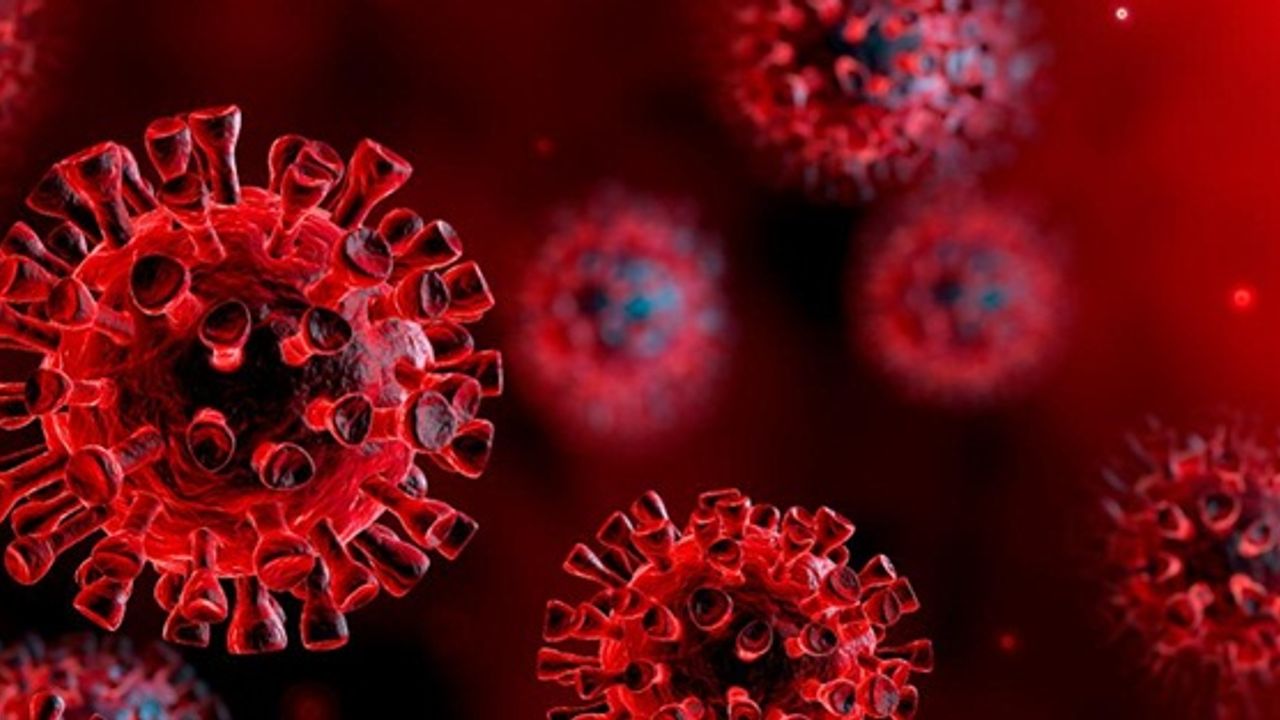 Güncel corona virüsü verileri açıklandı! Bakan Koca’dan Turkovac aşısı açıklaması