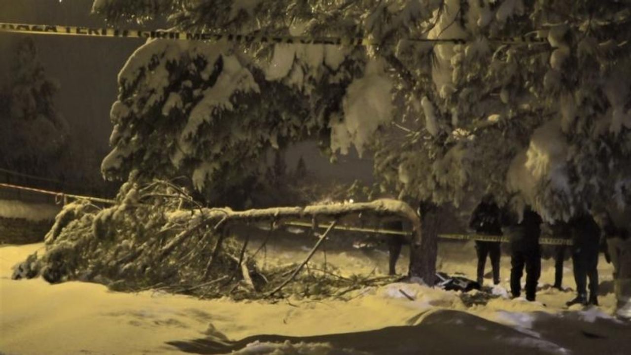 Kar nedeniyle devrilen ağacın altında ölü bulundu
