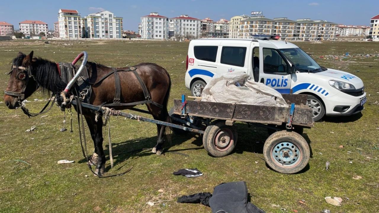 Kırklareli'nde polisin kovaladığı iki hırsızlık zanlısı at arabasını bırakıp kaçtı