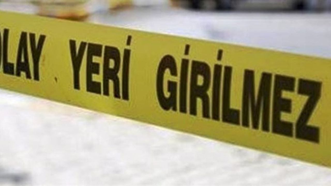 Erzurum'da gölete giren çocuklardan biri boğuldu, biri kurtarıldı