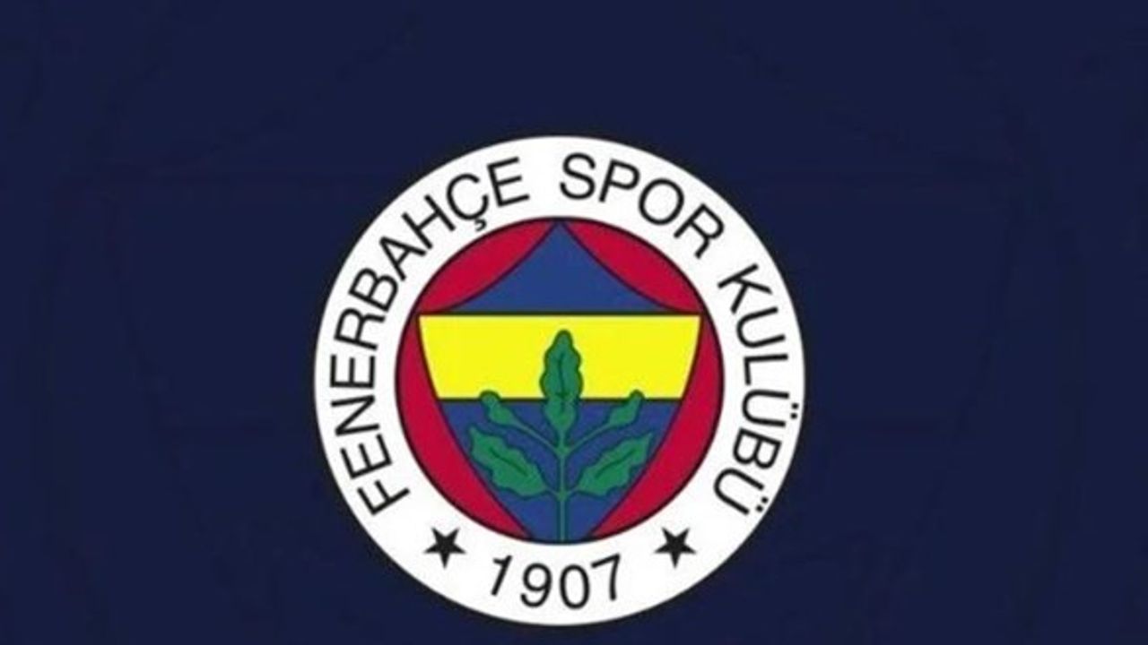 Fenerbahçe'yi UEFA'ya şikayet ettiğini itiraf eden Talip Doğan Karlıbel'e Fenerbahçe taraftarından tokat