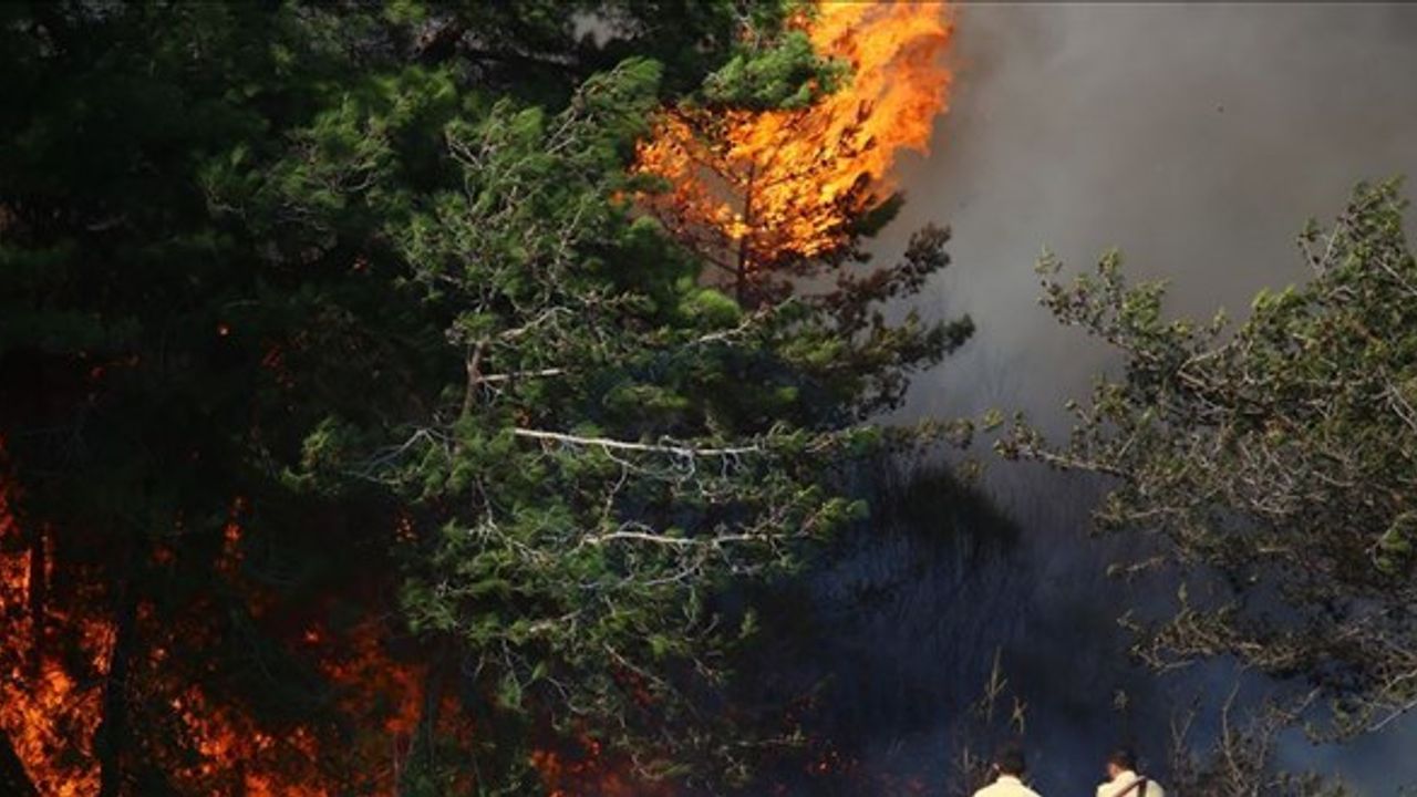 Hatay'daki orman yangınıyla ilgili 2 zanlı tutuklandı