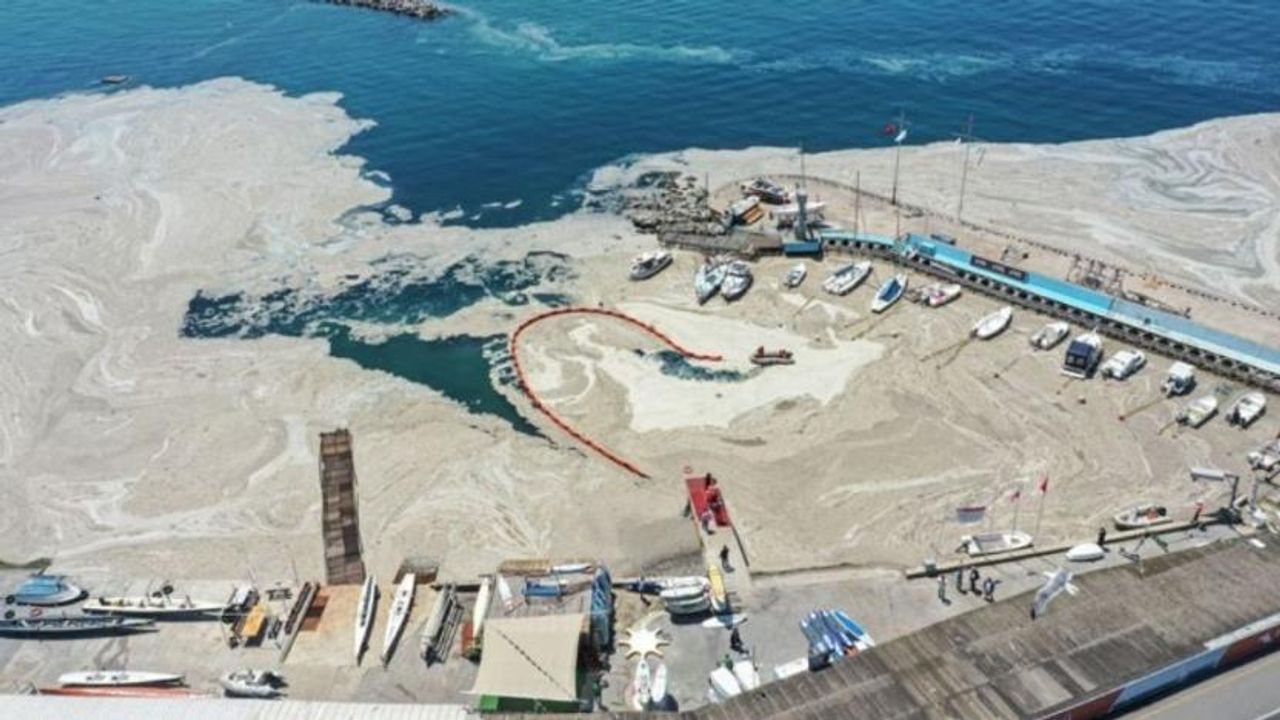 'Marmara'da denizin ısınması müsilajı tetikleyebilir'