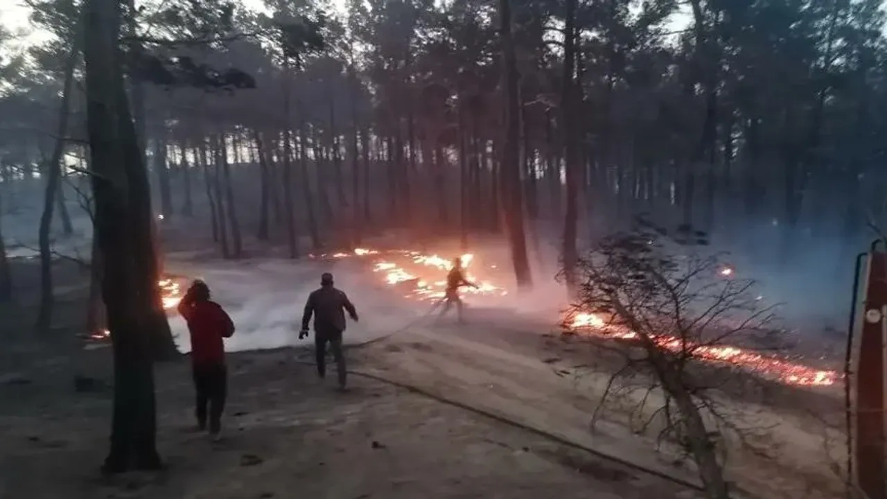 4 ilçede orman yangını! 2’si sürüyor