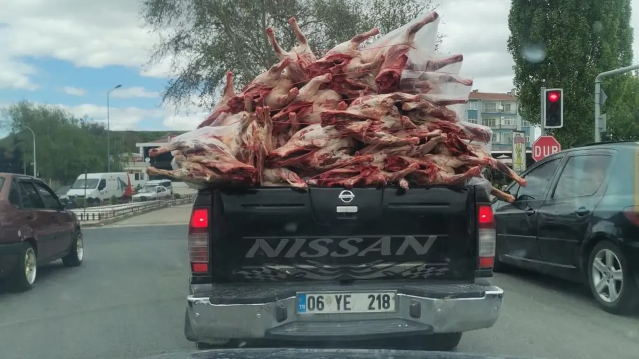 Kilolarca et kamyonetin arkasında işte böyle taşındı...