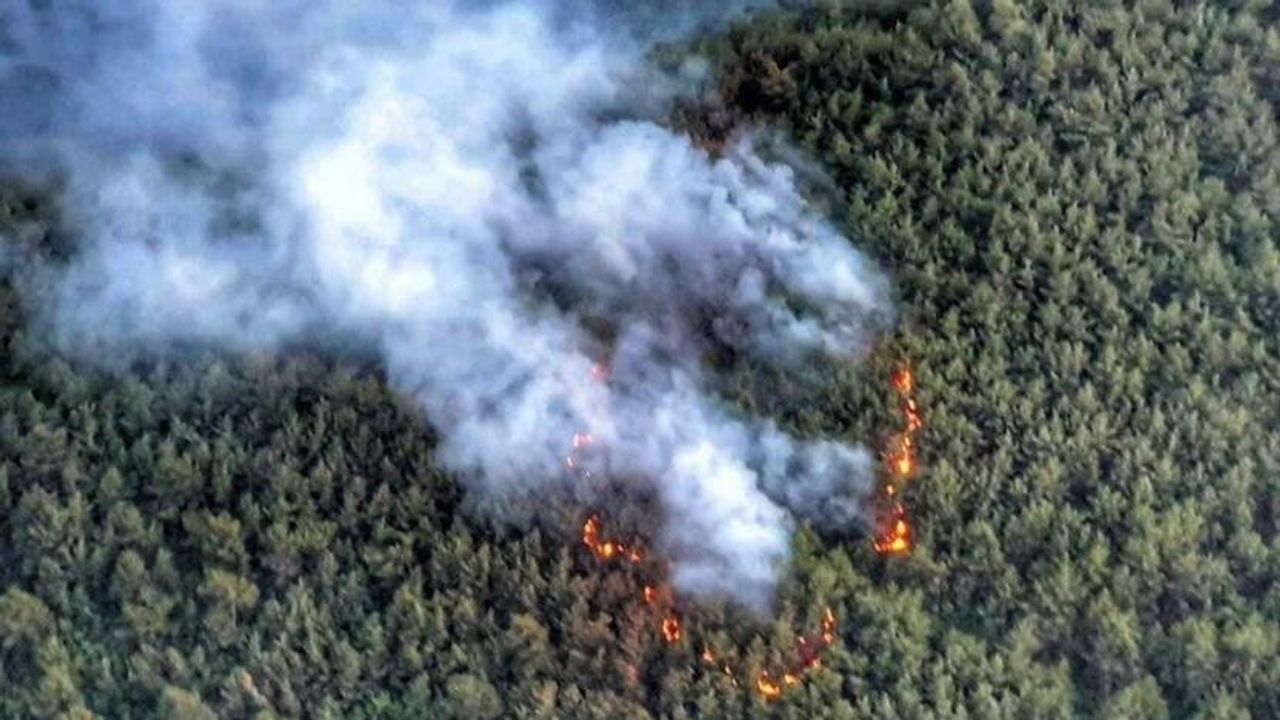 İzmir Balçova'da orman yangını