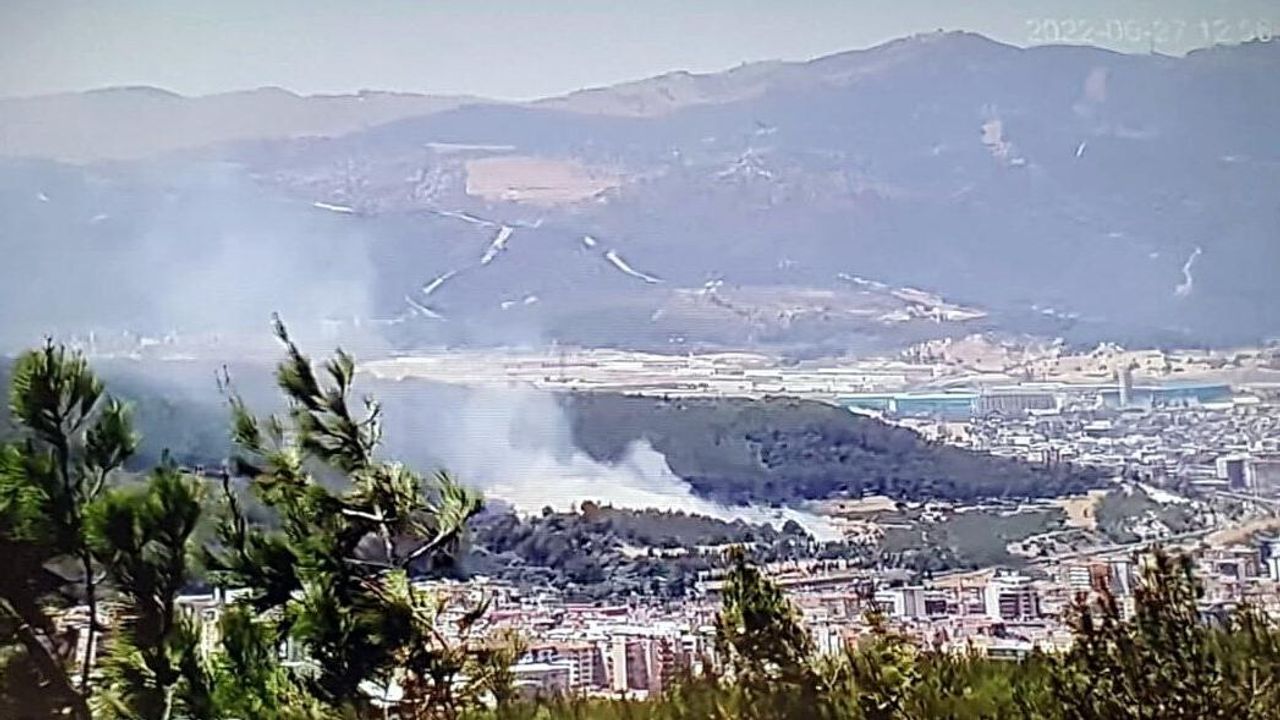 İzmir Buca'da orman yangını çıktı