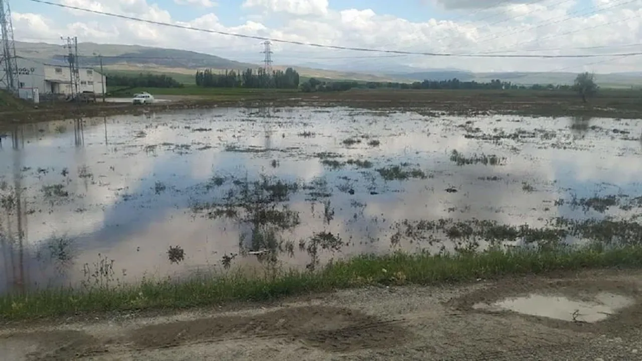 Etkili olan sağanak yağış sonrası Sivas'ta 3 bin 914 dekarlık alan zarar gördü