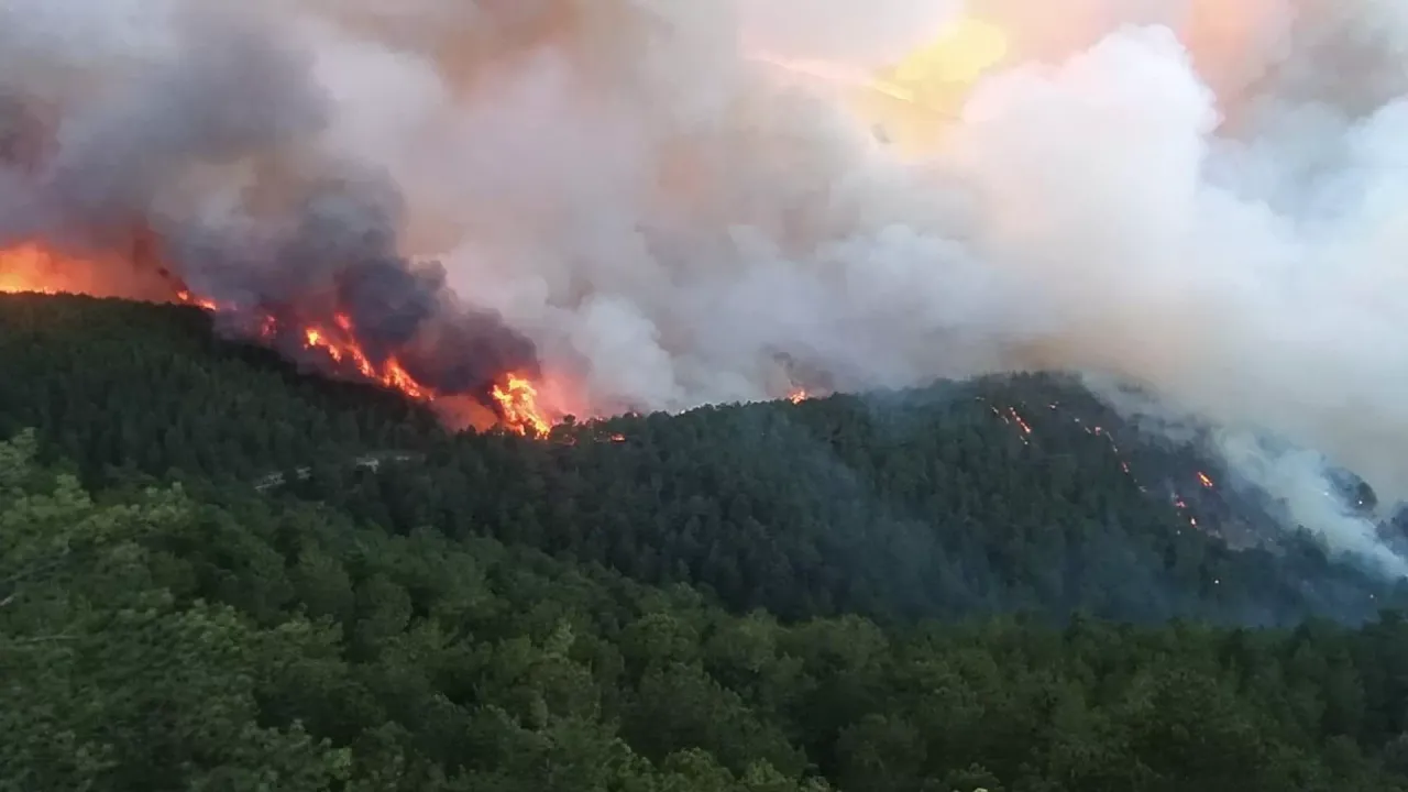 Kütahya'da çıkan orman yangını devam ediyor