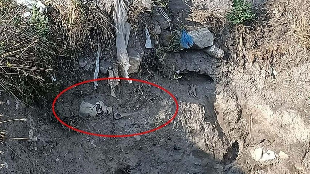 Çankırı'da insana ait olduğu düşünülen iskelet parçaları bulundu