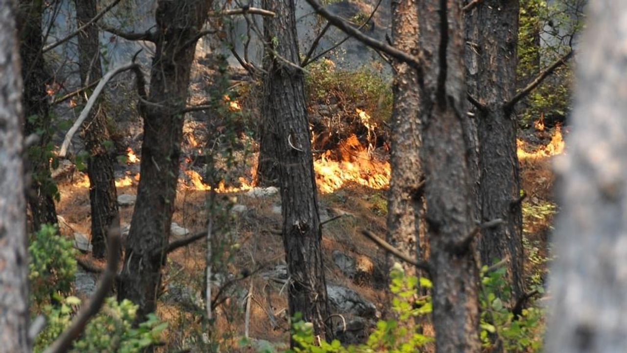 Meteoroloji uyardı: Muğla orman yangınına dikkat