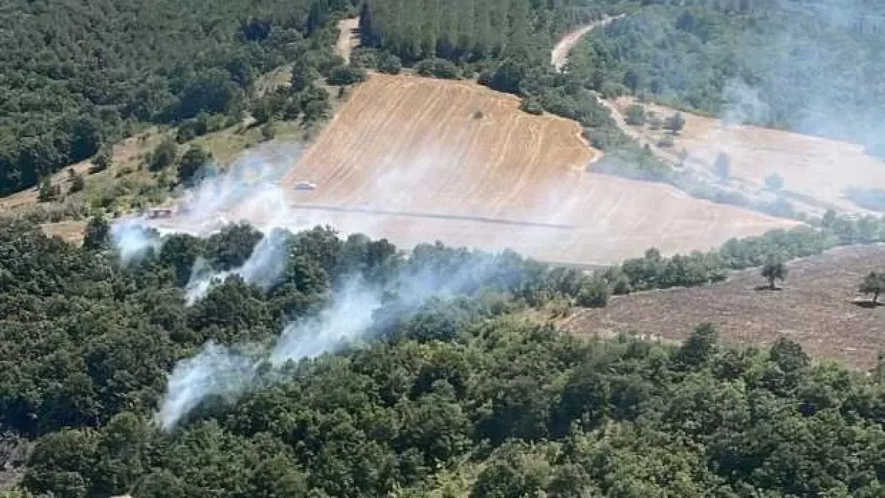 Bursa'da orman yangını çıktı