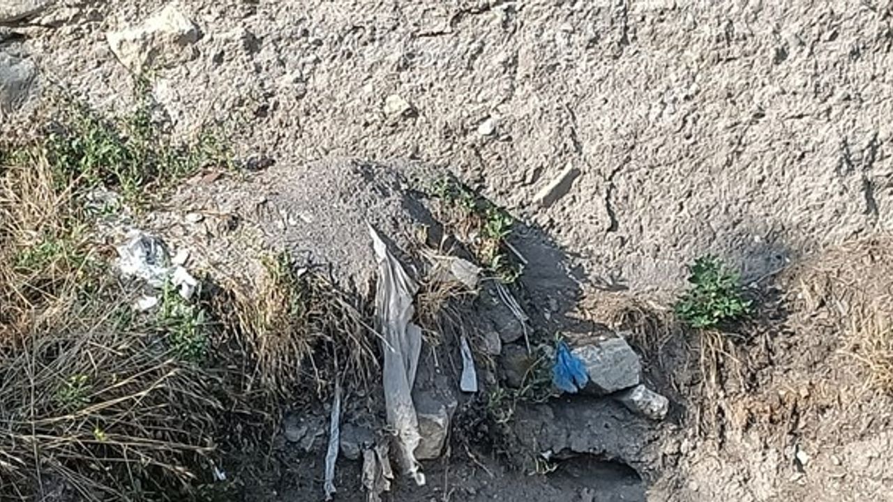 Çankırı'da yağmur suyunun aşındırdığı topraktan iskelet çıktı