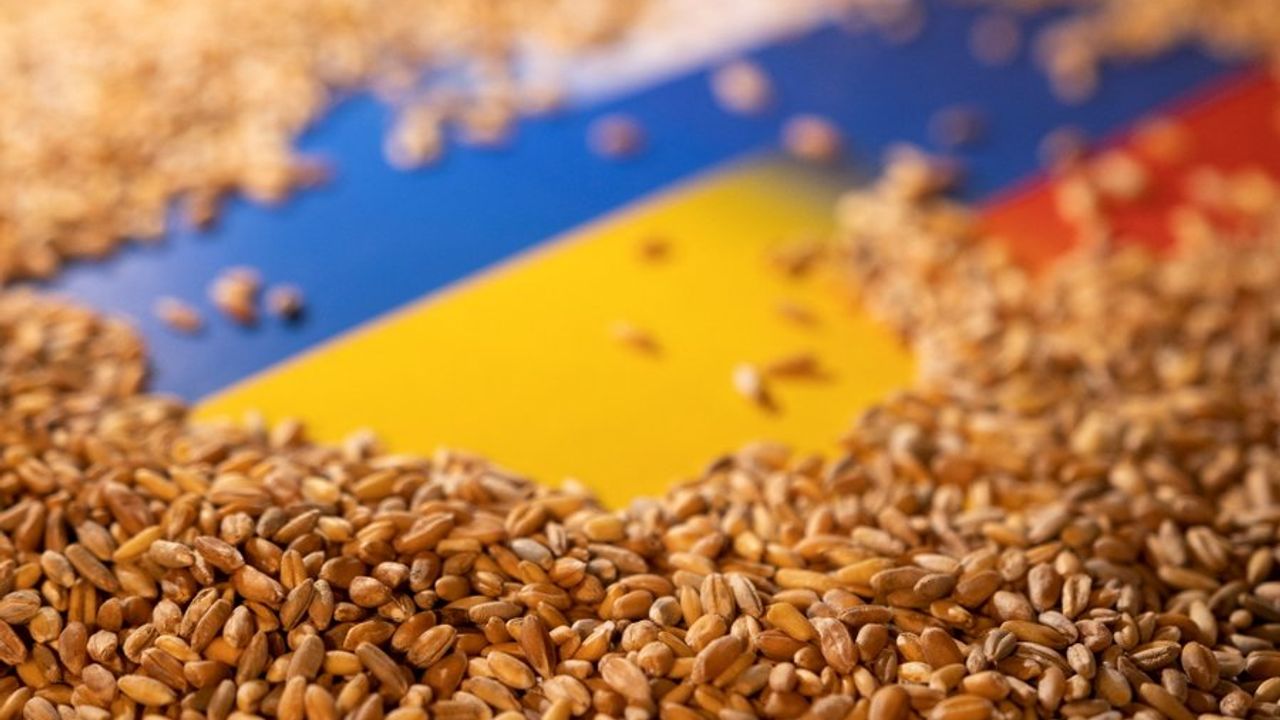Zelenskiy: Tahıl ihracatına başlıyoruz
