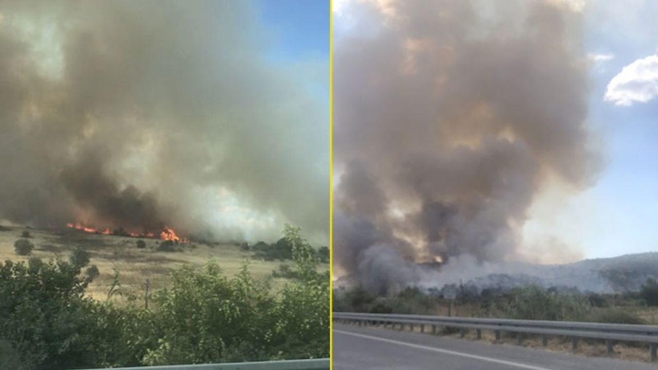 İzmir'de orman yangını çıktı! Müdahaleler sürüyor