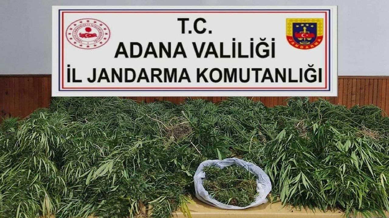 Adana'da jandarmaların operasyonu sonucunda 27 kilo esrar ele geçirildi
