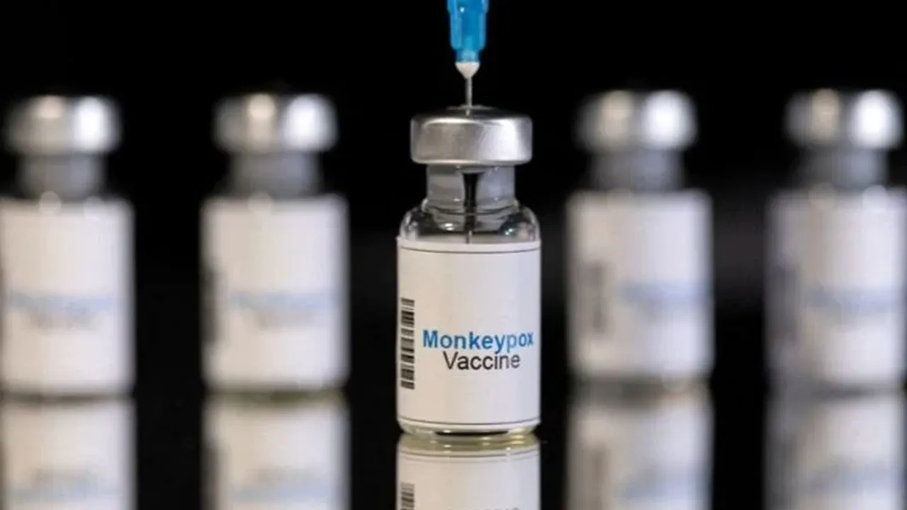 Avrupa'dan maymun çiçeği aşına izin çıktı