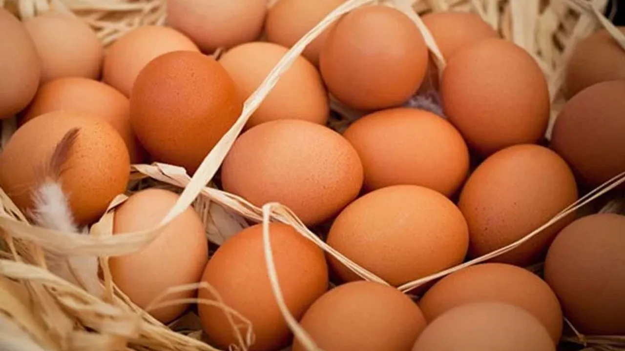 Yumurta fiyatları artmaya devam ediyor! 50 TL'yi geçecek...