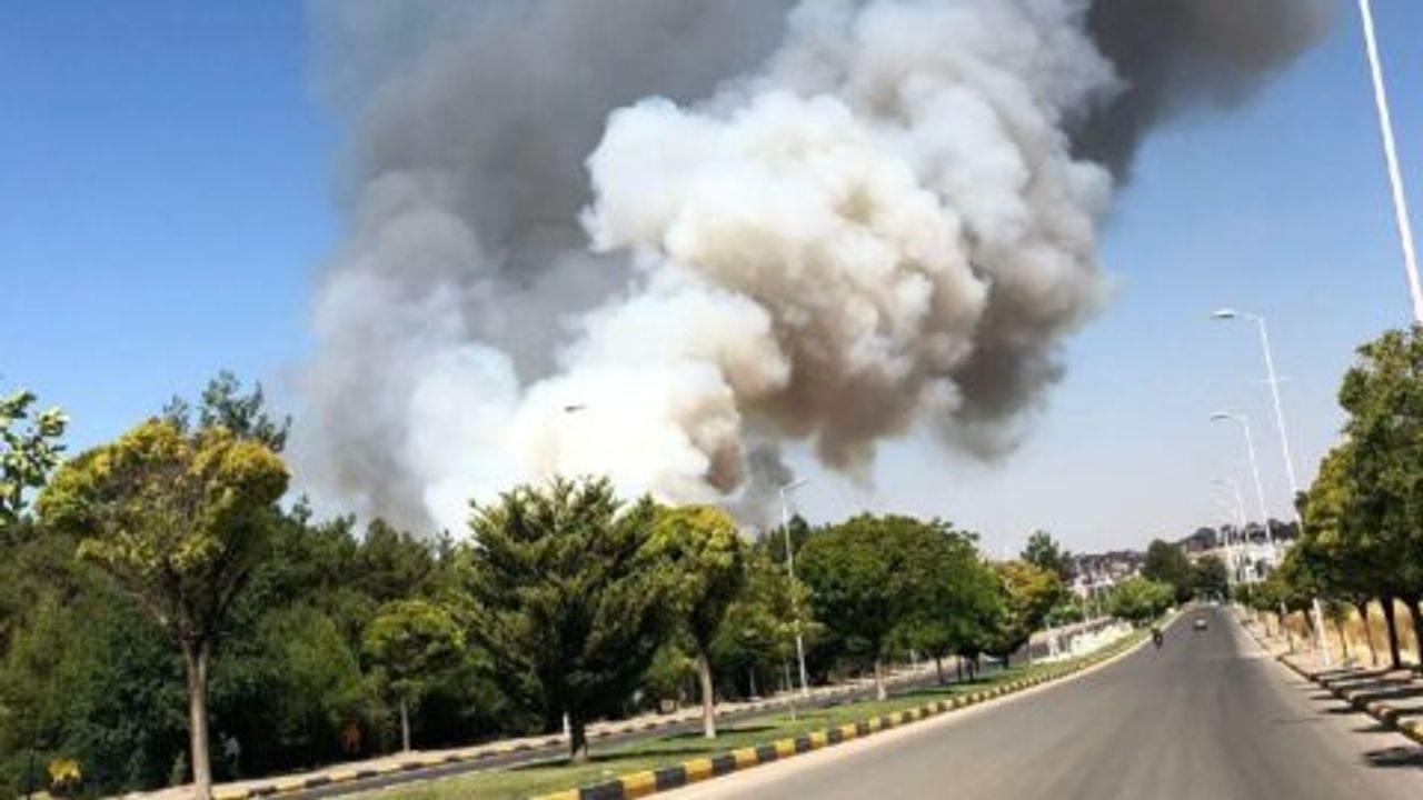 Gaziantep’te orman yangını çıktı