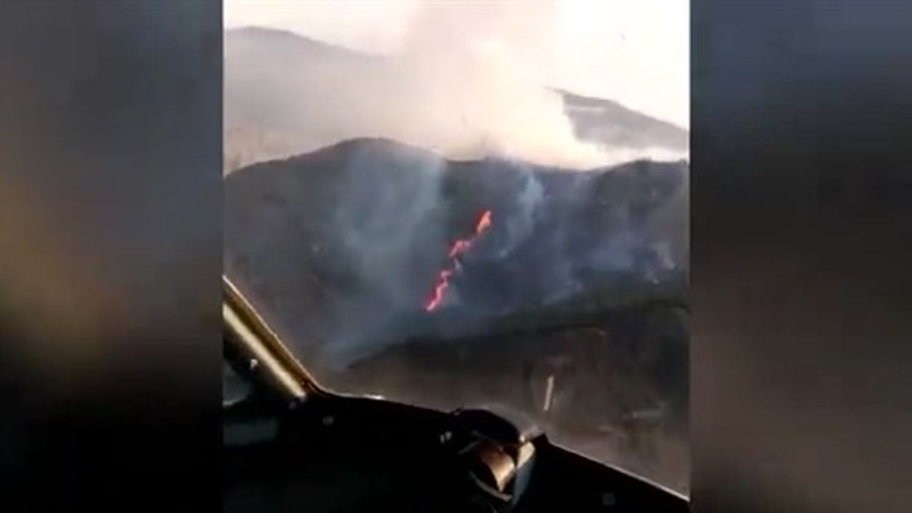Azerbaycan'da çıkan yangında 5 hektarlık alan yandı