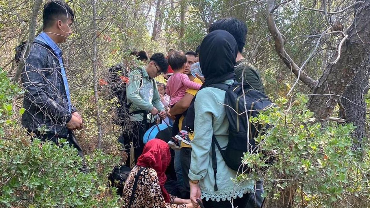 Muğla'da 80 kaçak göçmen yakalandı