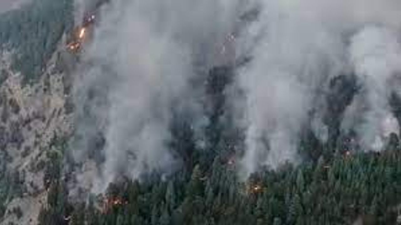 Mersin'de çıkan orman yangını devam ediyor!