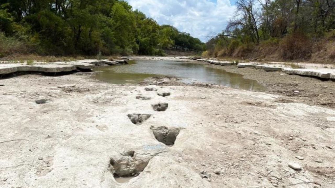 Texas'ta nehir yatağının kurumasıyla 113 milyon yıllık dinozor ayak izleri ortaya çıktı