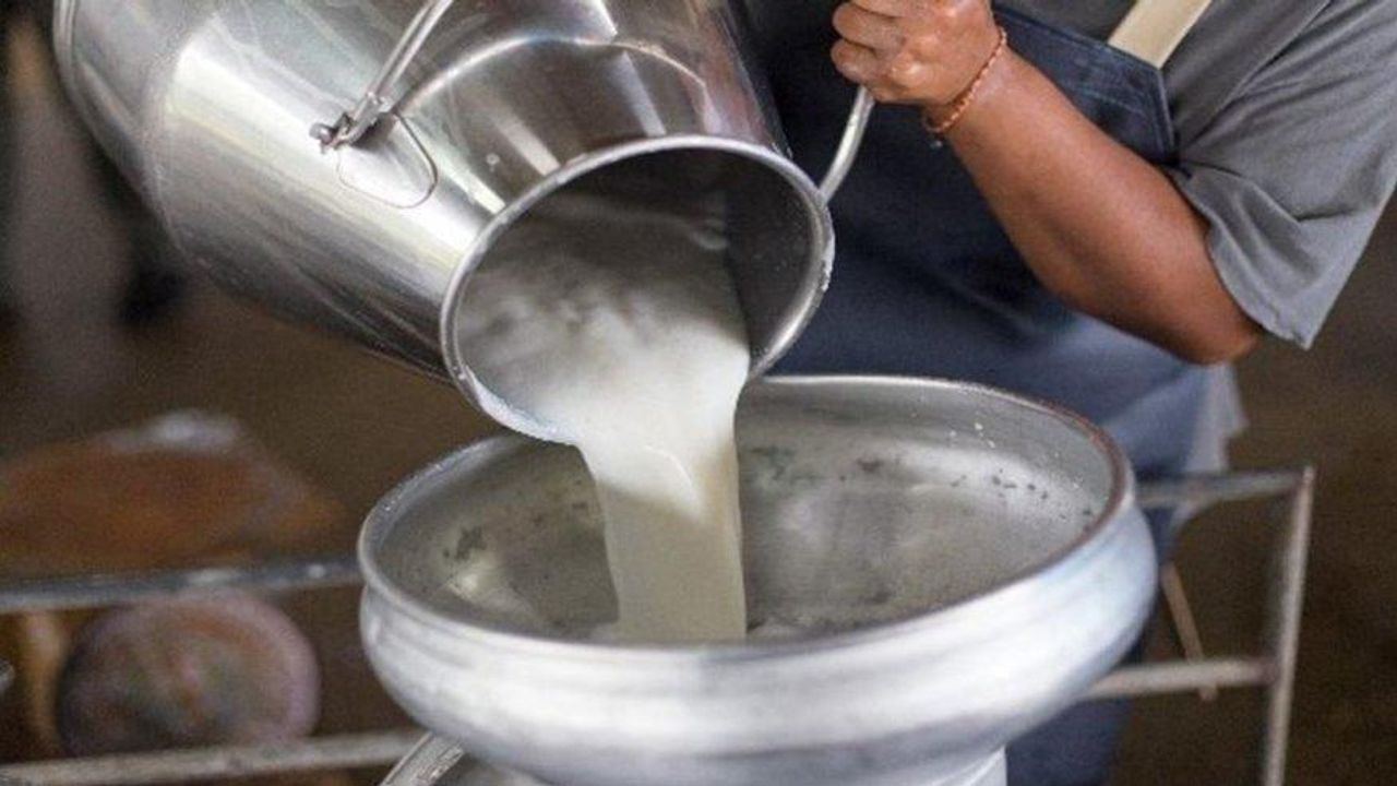 TÜİK açıkladı: Süt ve süt ürünleri üretiminde düşüş