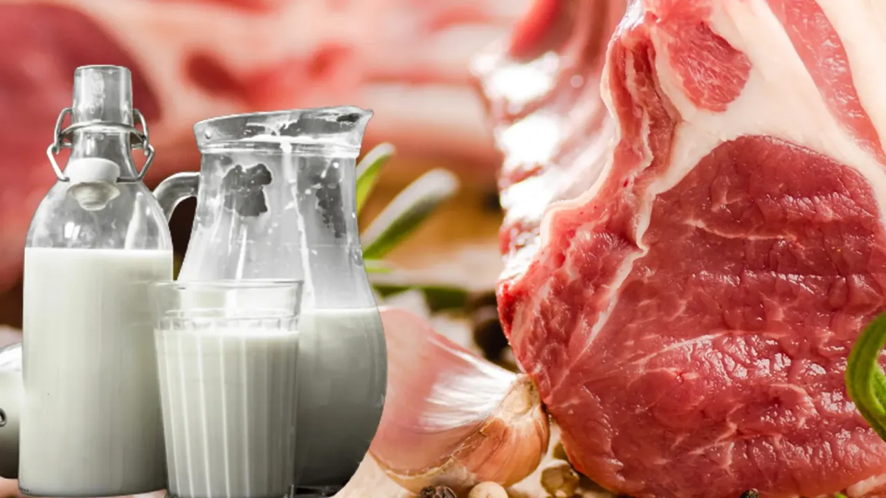 Et ve süt üreticilerinden korkutan uyarı: 2008 krizine doğru gidiyoruz!