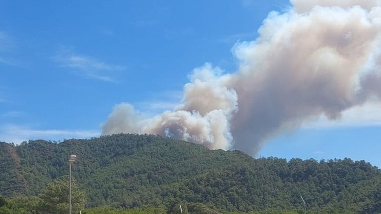 Marmaris'te orman yangını çıktı