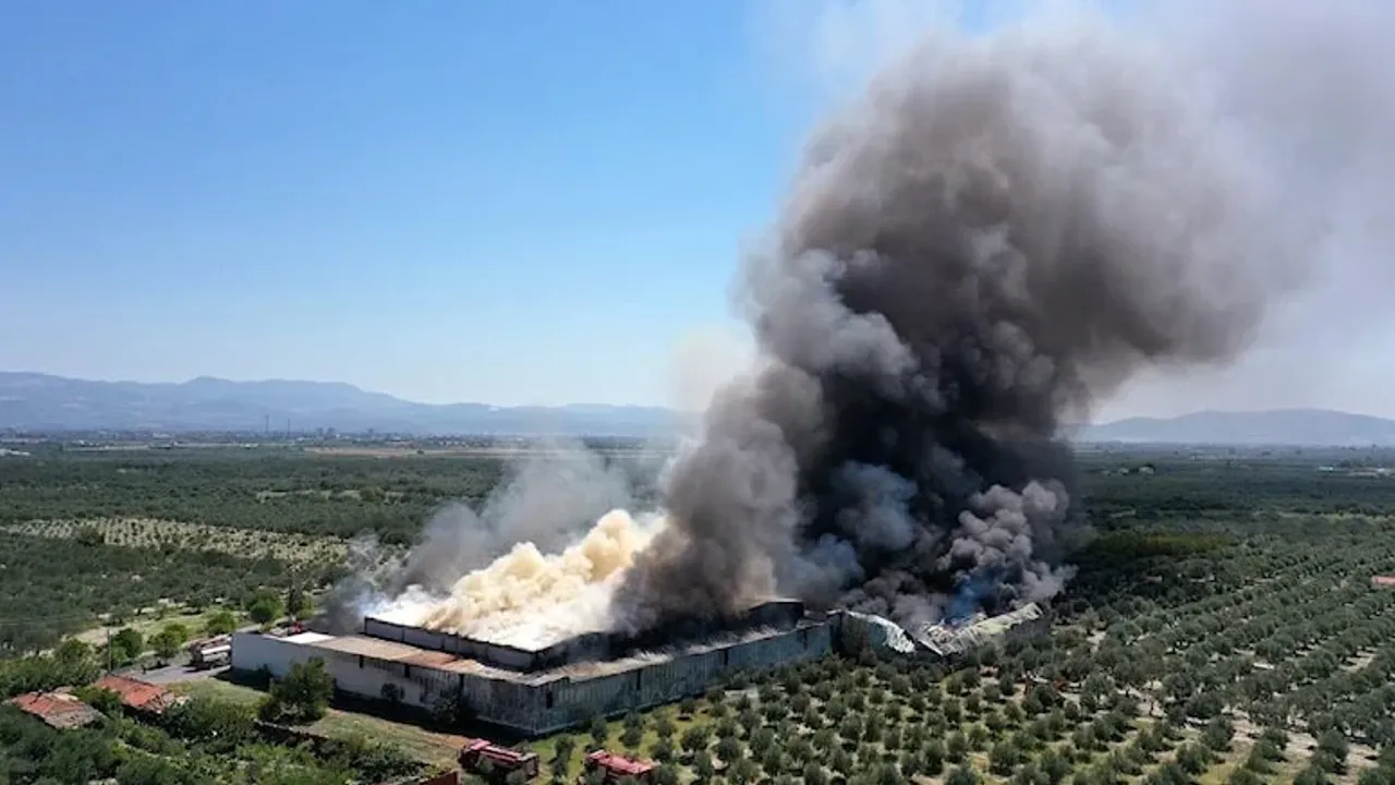 Orman ürünleri fabrikasında yangın