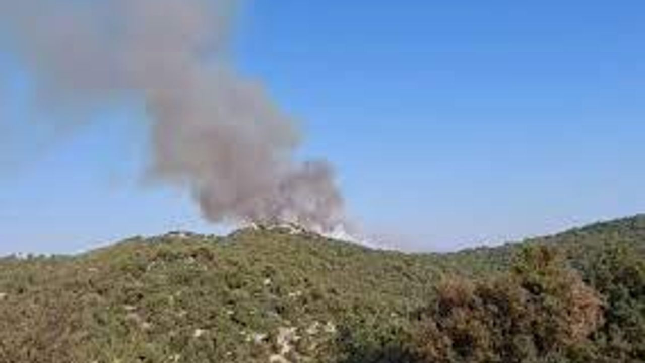 Antalya'da orman yangını!