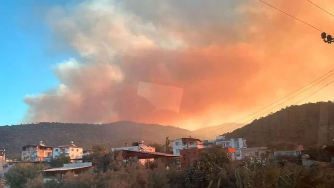 Mersin'de orman yangını çıktı!
