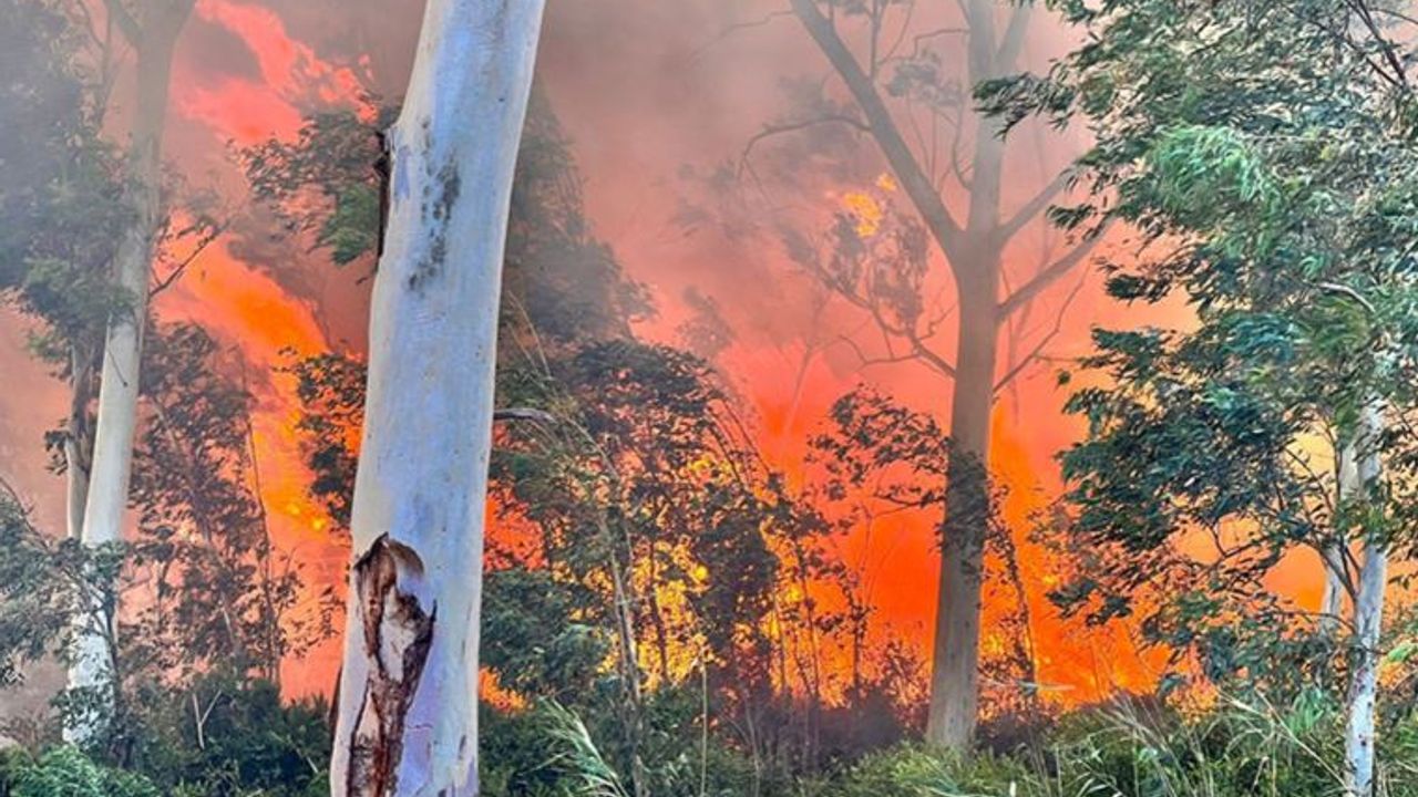 Kaş'ta kontrol altına alınan orman yangını rüzgar etkisiyle yeniden alevlendi