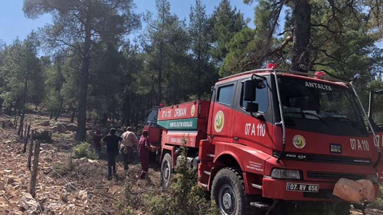 Antalya'da yıldırım düşmesi sonucu 2 hektarlık alan yandı