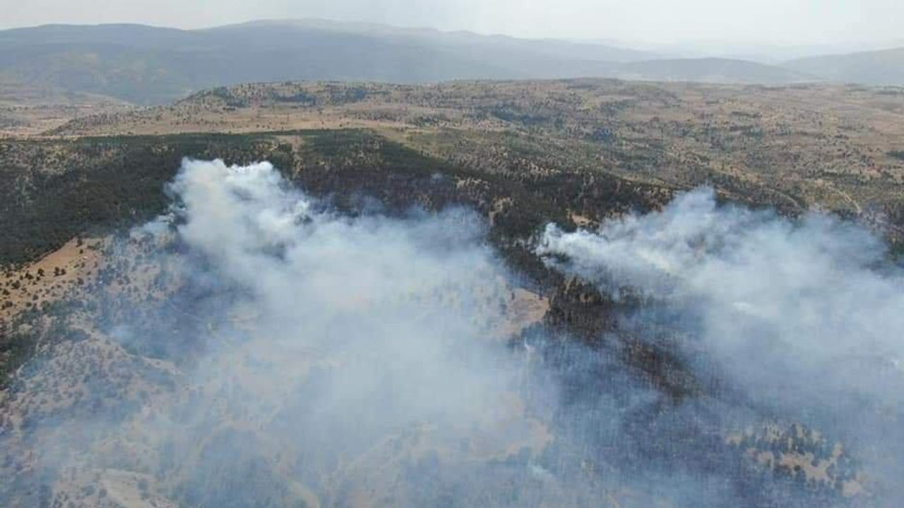 Erzincan'da 13 hektar orman yandı