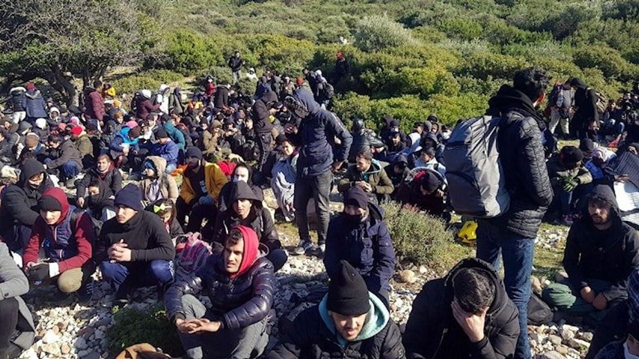 İzmir’de 343 kaçak göçmen yakalandı