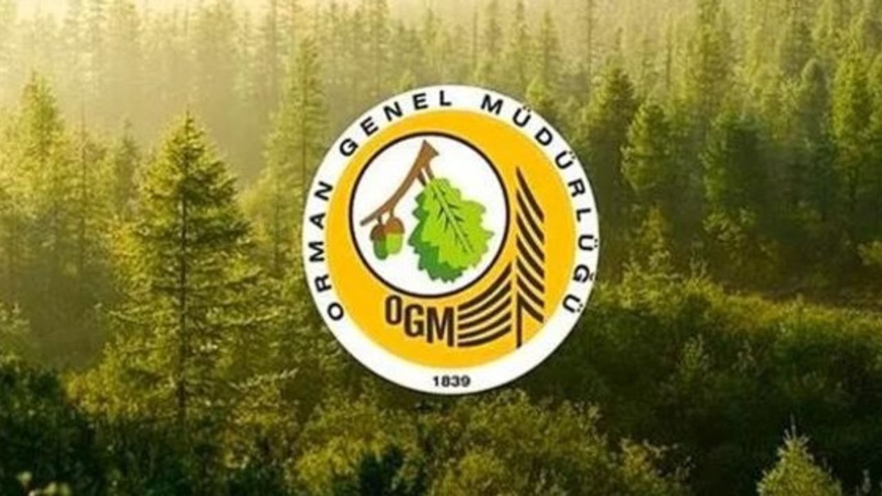 Orman Genel Müdürlüğü’nden alım ilanı! 109 sözleşmeli personel alımı!