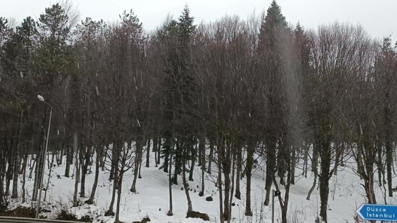 Bolu Dağında son durum, Kar yağışı devam ediyor!