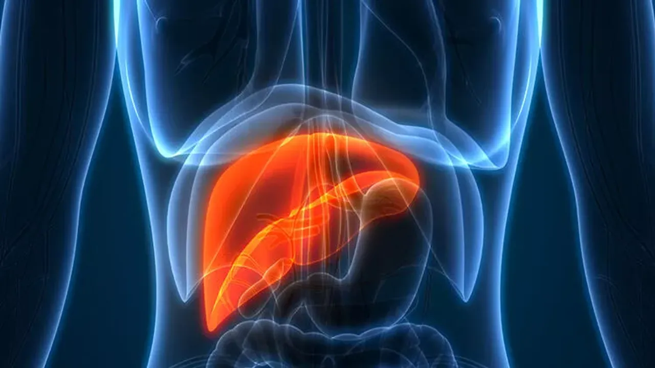 Karaciğer yağlanması nasıl anlaşılır? Karaciğer yağlanmasına hangi besinler iyi gelir?