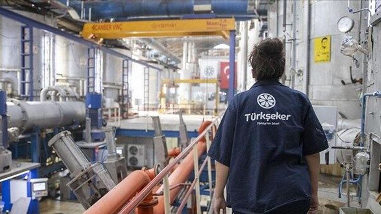 Türkiye Şeker Fabrikaları İşçi Alacak! İşte Başvuru Şartları